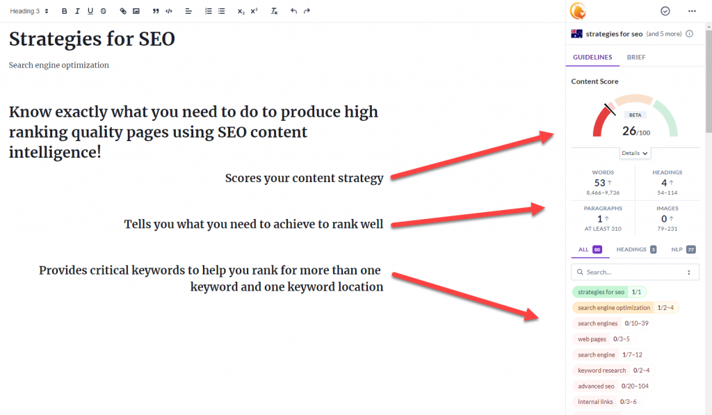 SEO content strategy software On page SEO